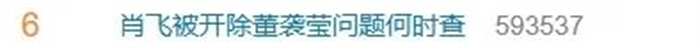 男医生肖飞被妻子实名举报“脚踩6只船”的医圈大瓜,董袭莹的4+4能有多跨界?