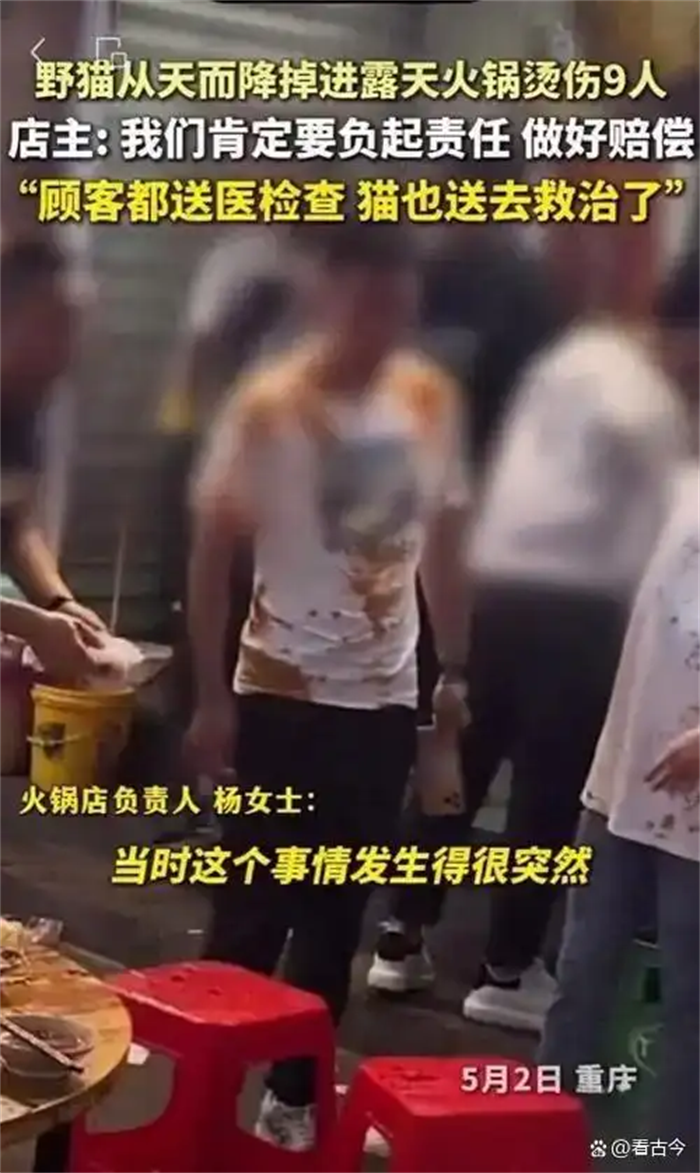 重庆火锅界又双叒叕整出新活儿了!野猫从天而降掉进露天火锅烫伤9人