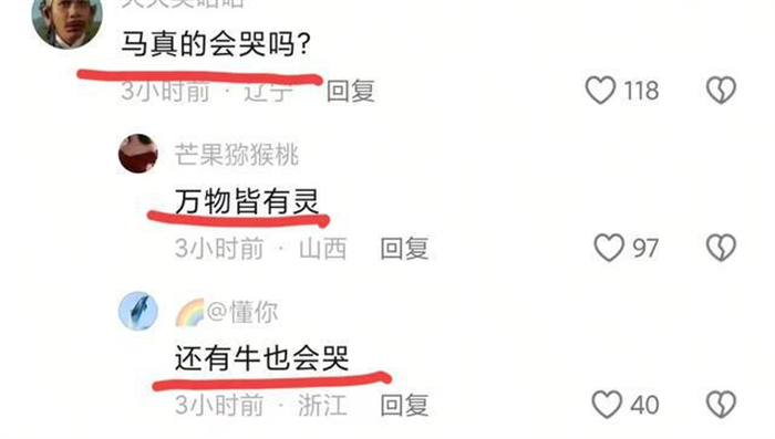 万物皆有灵性,蒙古马被卖后独自跋涉300里跑回家