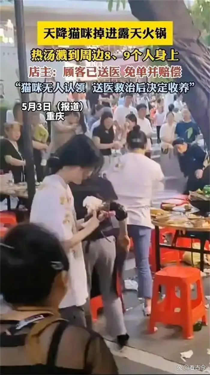 重庆火锅界又双叒叕整出新活儿了!野猫从天而降掉进露天火锅烫伤9人
