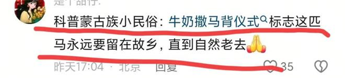 万物皆有灵性,蒙古马被卖后独自跋涉300里跑回家