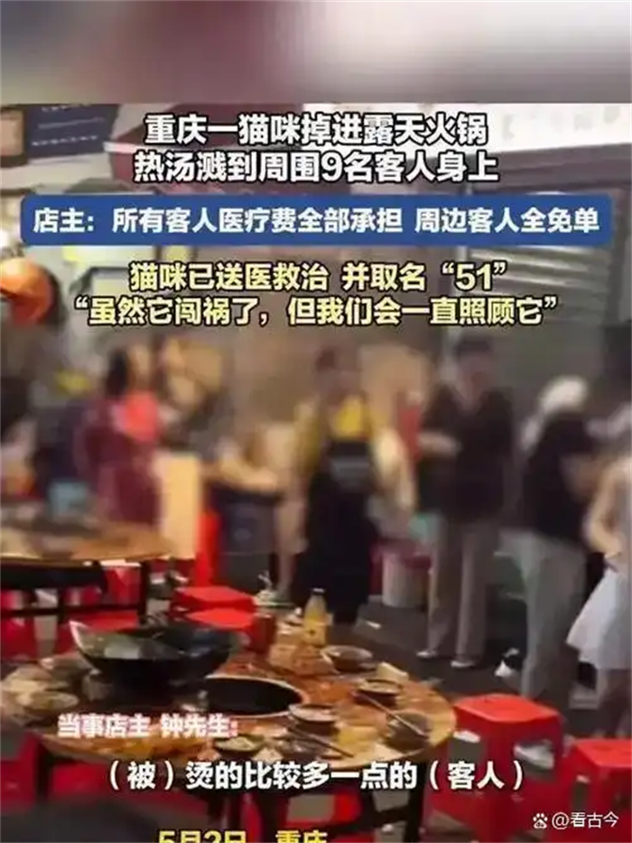 重庆火锅界又双叒叕整出新活儿了!野猫从天而降掉进露天火锅烫伤9人