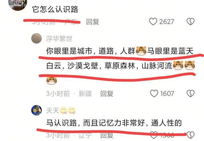 万物皆有灵性,蒙古马被卖后独自跋涉300里跑回家