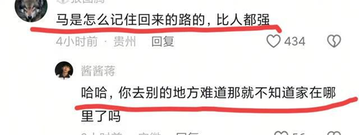 万物皆有灵性,蒙古马被卖后独自跋涉300里跑回家