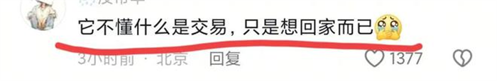 万物皆有灵性,蒙古马被卖后独自跋涉300里跑回家