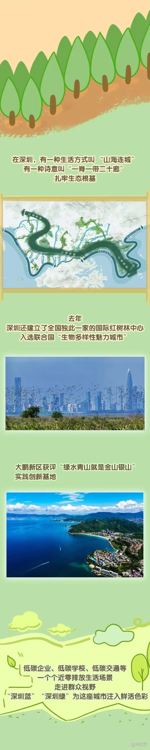 深圳建设中国特色社会主义先行示范区四周年，从“试验田”到“示范生”，深圳为什么行？