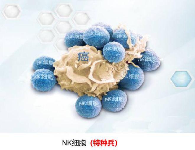 “癌症在我国熬成慢性病”引发热议，细胞免疫疗法或能攻克癌症！