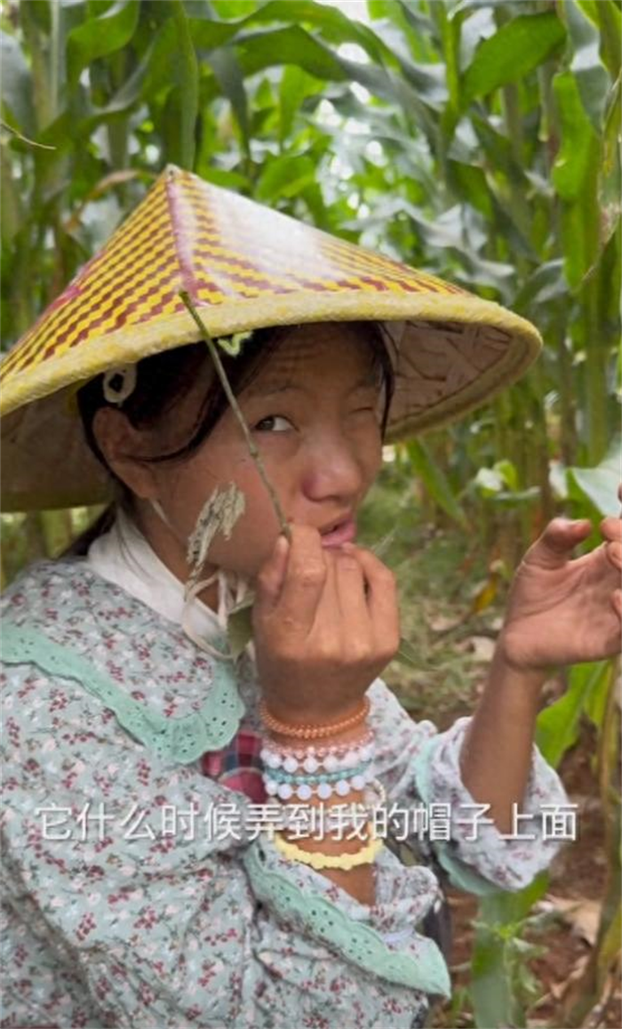 舆论漩涡中的网红小英一家面临“塌房”危机