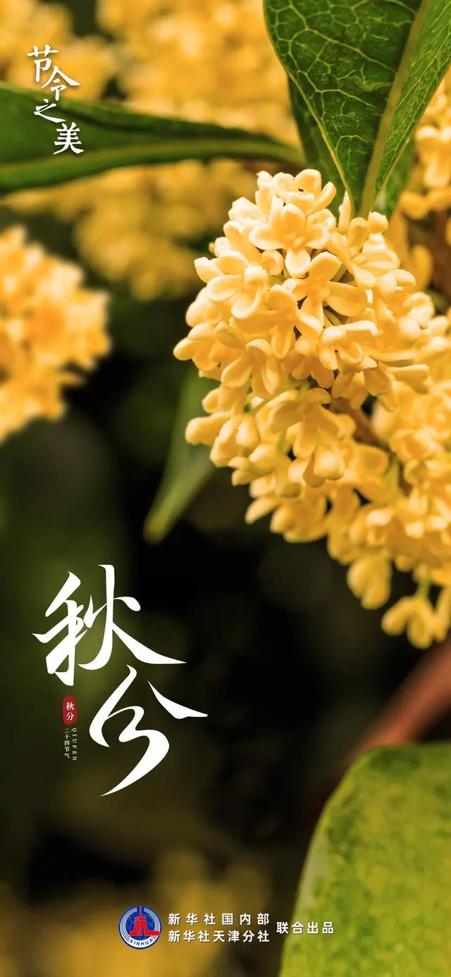 享丰收喜悦 品节气之美 又是一年好“丰”景