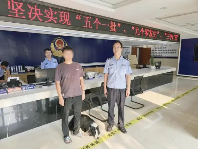 边牧走丢后自己跑进派出所报案 主人对民警表示了感谢