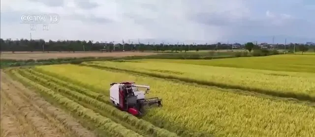 晒一晒大国粮仓“成绩单” 探索建立粮食产销区省际横向利益补偿机制