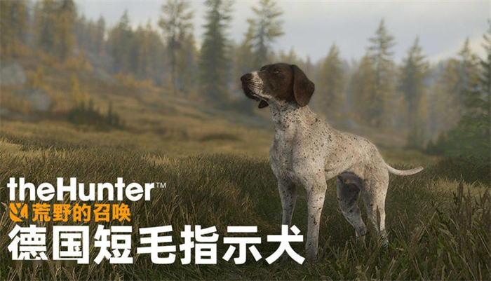 热门游戏《猎人：荒野的召唤》推出了三款全新的下载内容（DLC），为玩家们的狩猎之旅增添了更多乐趣与选择