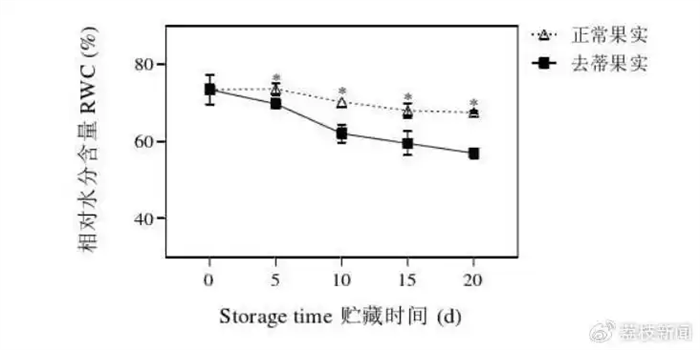 为什么砂糖橘上都有个小洞，砂糖橘有洞正常吗？这些洞是从哪来的？