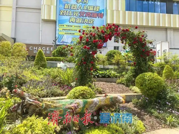 济南市园林和林业绿化局全面启动“转角见景”工程