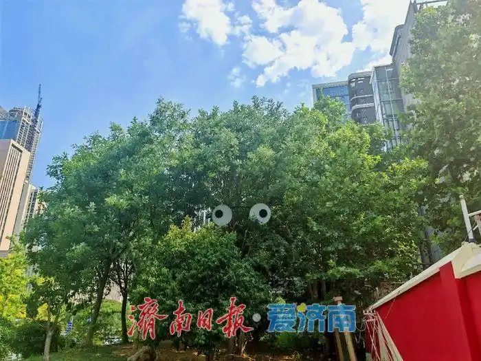 济南市园林和林业绿化局全面启动“转角见景”工程