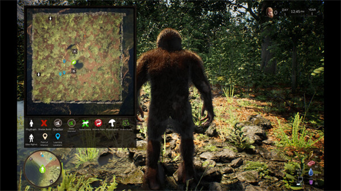 大脚怪生活模拟器新游《Bigfoot Life》将于11月4日正式推出