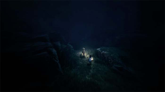 恐怖冒险游戏《Reanimal》将于2026年2月13日登陆PC、PS5、Nintendo Switch 2以及Xbox Series X/S