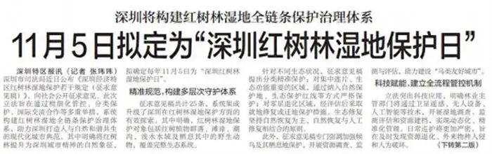 深圳市司法局近日公布《深圳经济特区红树林湿地保护若干规定（征求意见稿）》，向社会公开征求意见